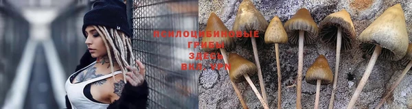 ГАЛЛЮЦИНОГЕННЫЕ ГРИБЫ Михайловск