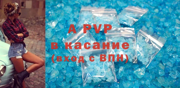 прущие грибы Заводоуковск