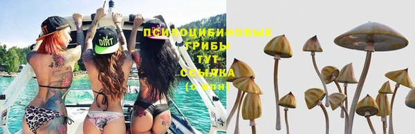 трава Михайловка
