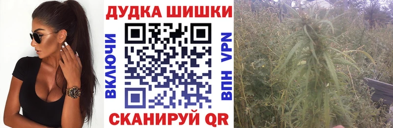 Марихуана марихуана  продажа наркотиков  Алейск 